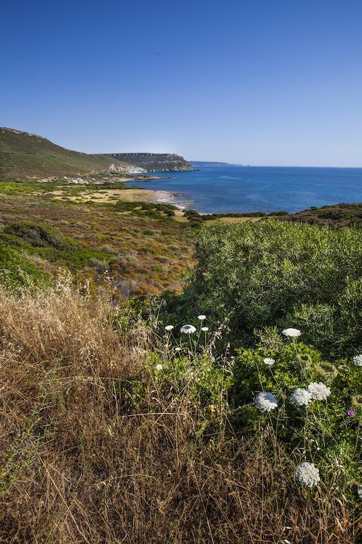 Residenza Solemar Villa Bosa Eksteriør billede
